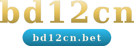 bd12cn logo